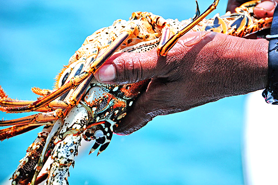 belize-food-featuredb