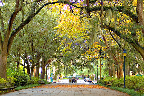 savannah-ga-featuredb