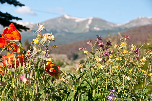 Tips for Planning Travel