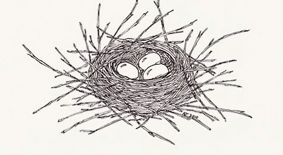 itty-bitty-nest-slider itty-bitty-nest-slider