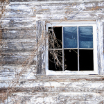 A Newlin Barn