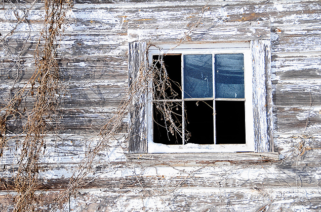 A Newlin Barn
