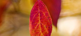 fall-day-trip-roundup-featured fall-day-trip-roundup-featured