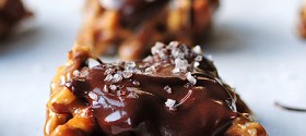 turtle-candies-featured turtle-candies-featured