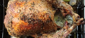 mayo-roasted-turkey-10