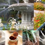 The Go Savor Culinary Retreat is coming up!