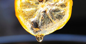 Candied Meyer Lemons