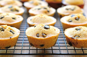 chocolate chip muffins recipe