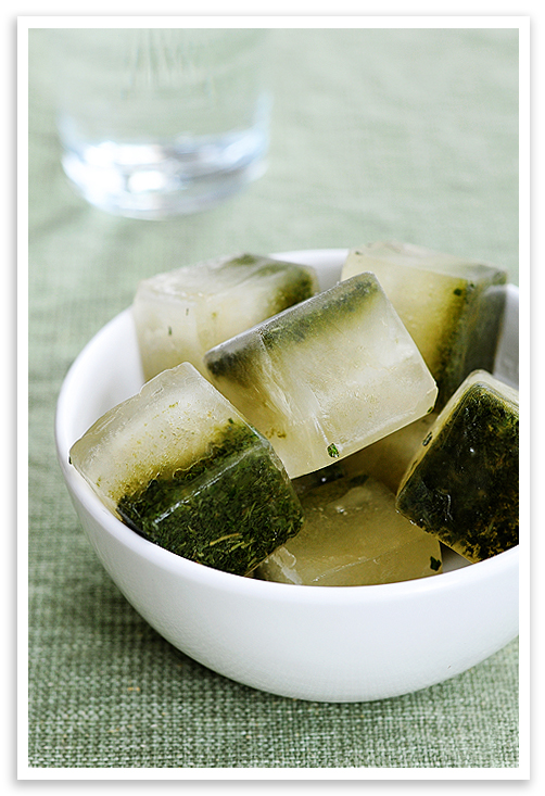 Frozen Mint Leaf Ice Cubes by thenaturalnurturer, Quick & Easy Recipe