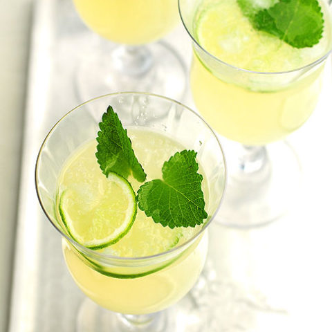 Honey Lemon Balm Spritzer Recipe