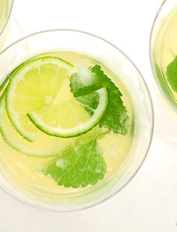 Honey Lemon Balm Spritzer