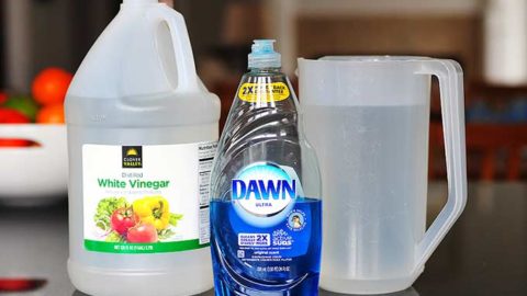 How To Use Plasti Dip 2 Ways to DIY Shower Bottles