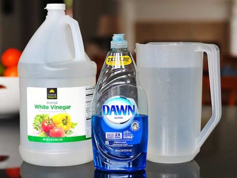 Dish Soap to Wash Car? Yes, in These 7 Places