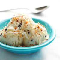 Coconut Chocolate Chip Ice Cream