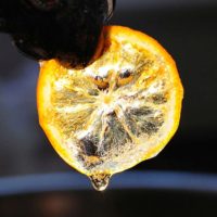 Candied Meyer Lemon Recipe
