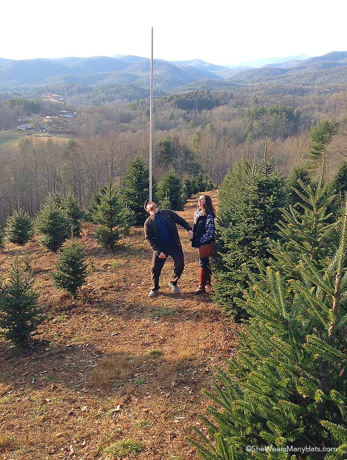 A day of Christmas Tree hunting in the Mountains of NC | shewearsmanyhats.com