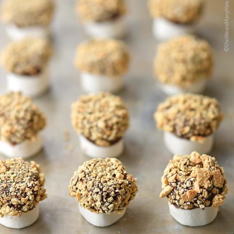 This easy S’mores Bites are are a fun and sweet addition to a party. Make a bunch up in no time for indoor s'mores fun!