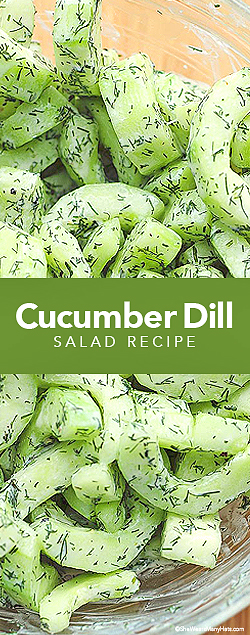This easy Cucumber Dill Greek Yogurt Salad is light and refreshing and perfect for summer. shewearsmanyhats.com