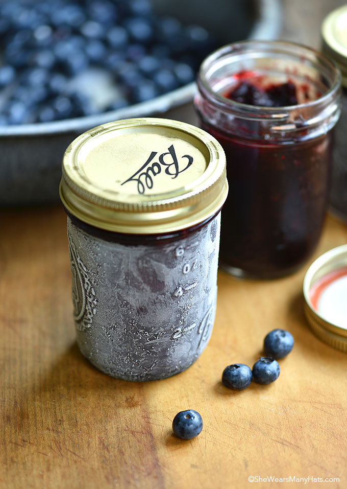 Easy Blueberry Freezer Jam Recipe | She Wears Many Hats