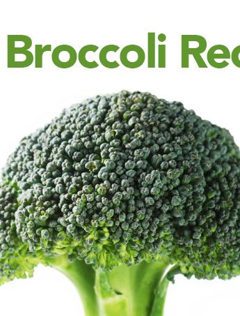 Over 25 Broccoli Recipes shewearsmanyhats.com