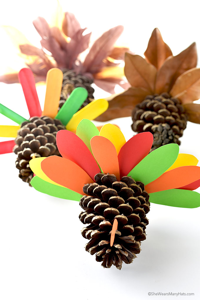 Thanksgiving Pine Cone Turkey Craft She Wears Many Hats