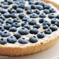 Frozen Blueberry Coconut Yogurt Pie Recipe | shewearsmanyhats.com