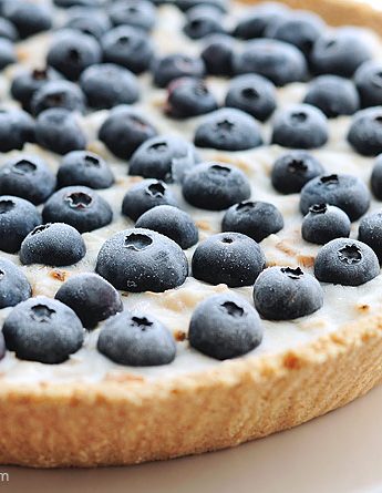 Frozen Blueberry Coconut Yogurt Pie Recipe | shewearsmanyhats.com