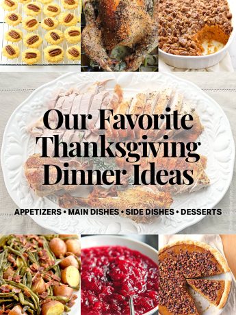 Here is a collection of our family's favorite Thanksgiving Dinner recipes.